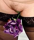 fat anal
