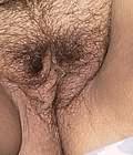 fat pussy lips